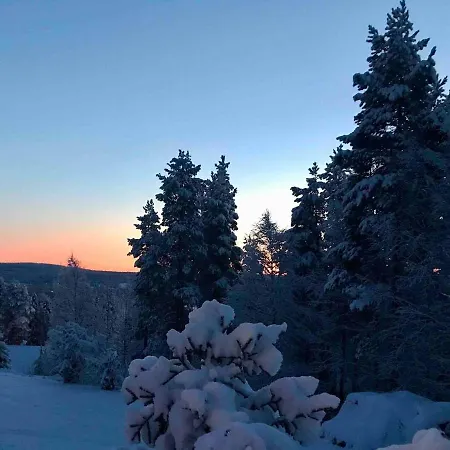 4 Bedrooms! Hillside Close To Santa Claus Village Vila Rovaniemi