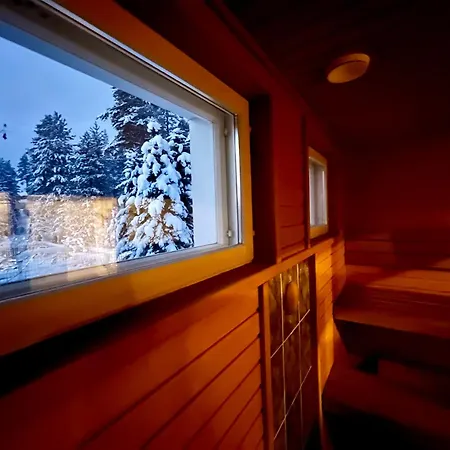 4 Bedrooms! Hillside Close To Santa Claus Village Villa Rovaniemi